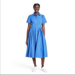 ALEXIS for Target Blue A-Line Shirtdress